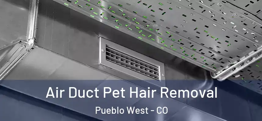  Air Duct Pet Hair Removal Pueblo West - CO