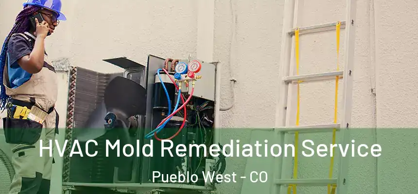  HVAC Mold Remediation Service Pueblo West - CO