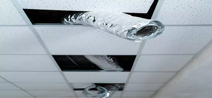 Affordable HVAC Sanitizing After Pest Removal in Pueblo West