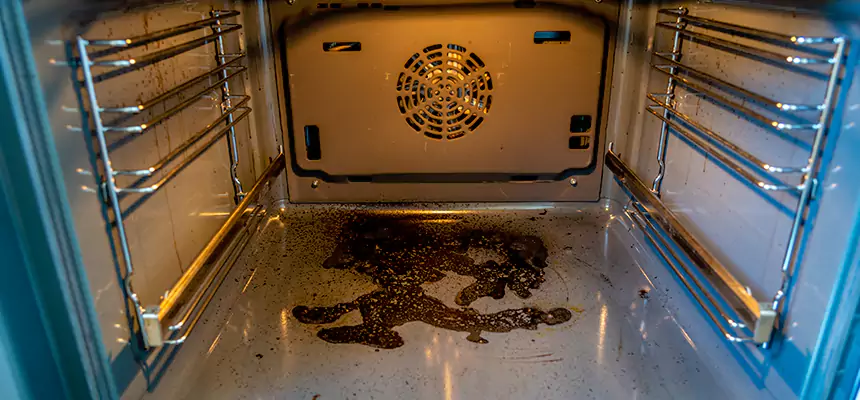 Our Dryer Vent Mold Cleaning Services in Pueblo West, CO