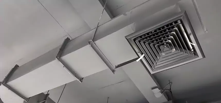 Our Pest Removal From Ducts Services in Pueblo West, CO