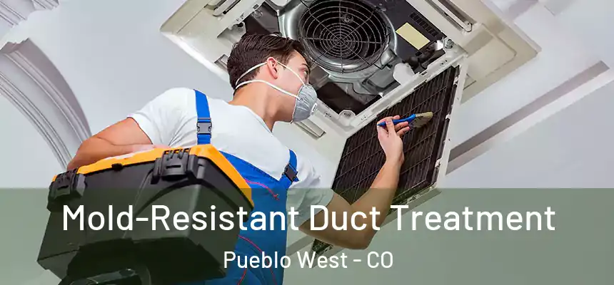  Mold-Resistant Duct Treatment Pueblo West - CO