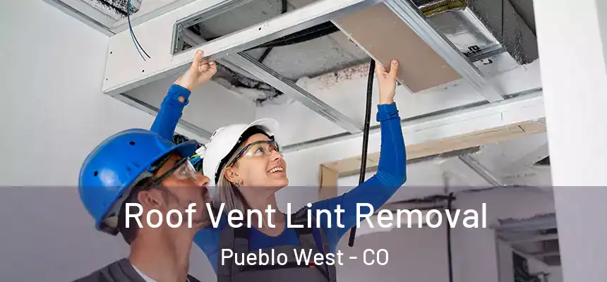 Roof Vent Lint Removal Pueblo West - CO