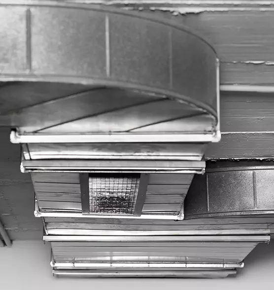 Professional Air Duct Pet Hair Removal in Pueblo West, CO