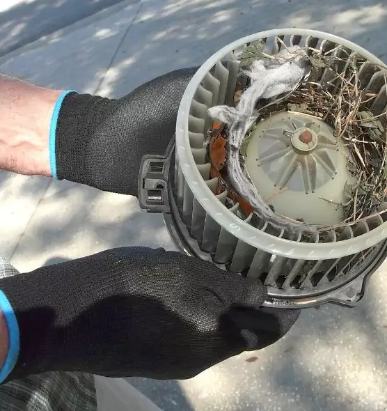 About Air Duct Rat Removal in Pueblo West, CO