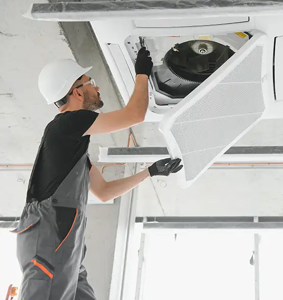 About Air Duct Rodent Removal in Pueblo West, CO