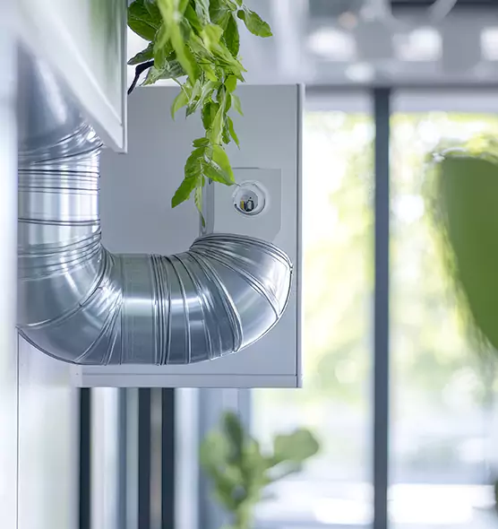 Professional Eco-Friendly Duct Cleaning Services in Pueblo West, CO