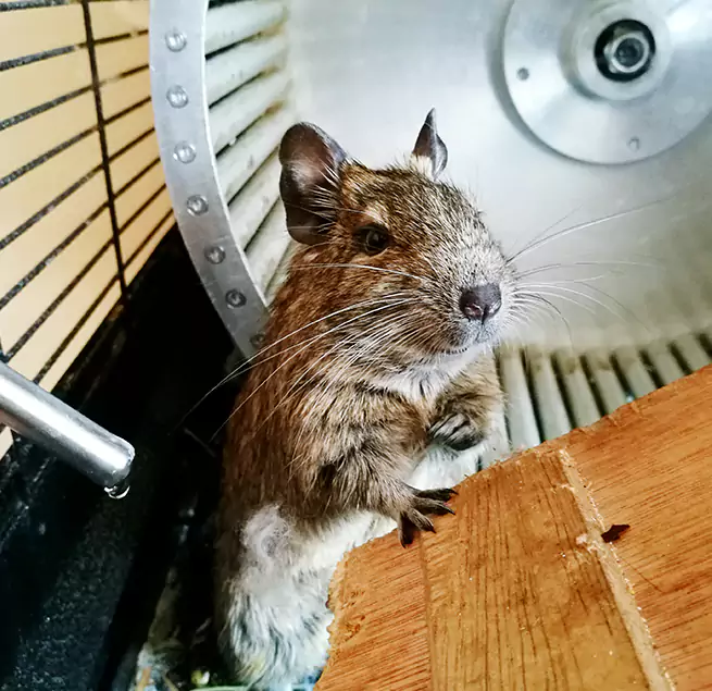 Why Homeowners & Businesses Trust Us Pueblo West, CO?